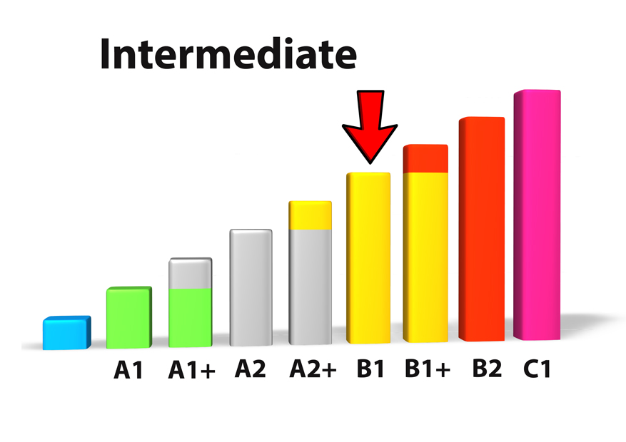 intermediate