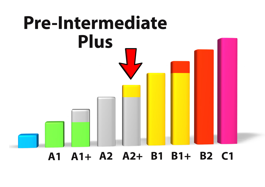pre-intermediate plus